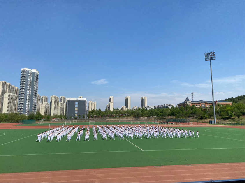 雨燕360体育直播