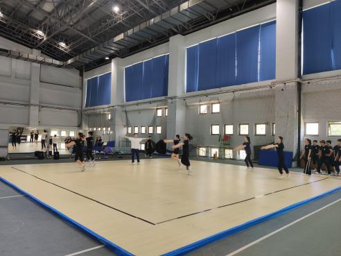 雨燕360体育欧洲杯
